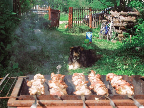 Поселок шашлык. Шашлык. Шашлык деревенский. Шашлык в деревне. Поселок шашлык.