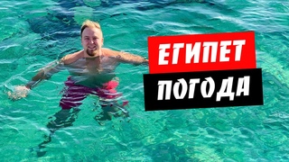 Египет. Погода сегодня. Температура моря. Завтрак в отеле Albatros Palace. Хургада 2020