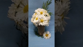 Вологодское кружево, хризантема в сад. #chrysanthemumflower