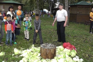 Иволга в ролике КГС