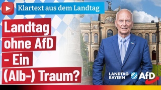Landtag ohne AfD - Ein (Alb-) Traum?