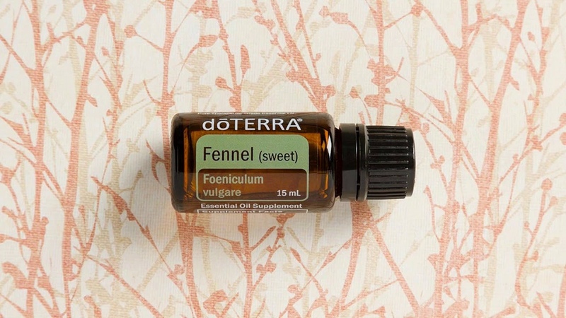 Фенхель, Foeniculum