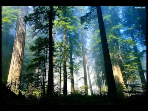 (黃慧音) Imee Ooi Chant Of Metta ( English Narration) Từ