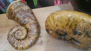 По ижорским землям