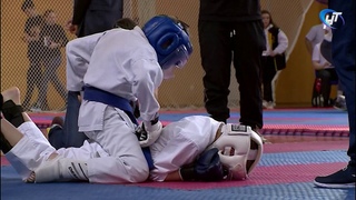 Великий Новгород принял Первенство Северо-Запада по каратэ