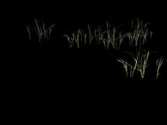 ZR~(Gr-1) Grass M - Dry Green Group - 1.4m