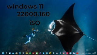 Анонс Windows 11 Insider Preview Build . Появились ISO-образы, официально чистая установка.