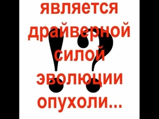 Гетерогенность опухоли - проблема в онкологии, о концепции её решения