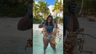 GIANT LOBSTERS IN BAHAMAS 🦞….