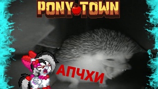 ТУТОРИАЛ: ДВА ЁЖИКА В PONY TOWN И ЧТО БУДЕТ, ЕСЛИ ОН ЧИХНЕТ