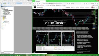 Процесс заказа лицензии MetaCluster и (или) Индивидуального обучения