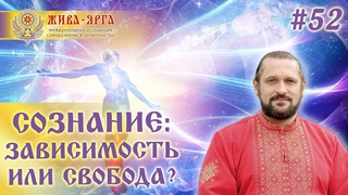 СОЗНАНИЕ: ЗАВИСИМОСТЬ ИЛИ СВОБОДА Школа Живы и Жива-Ярги.  #52шж Владимир Куровский