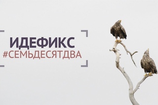 Идефикс - Чистым