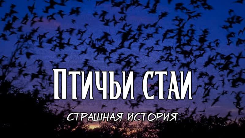 Птичьи стаи, Страшная
