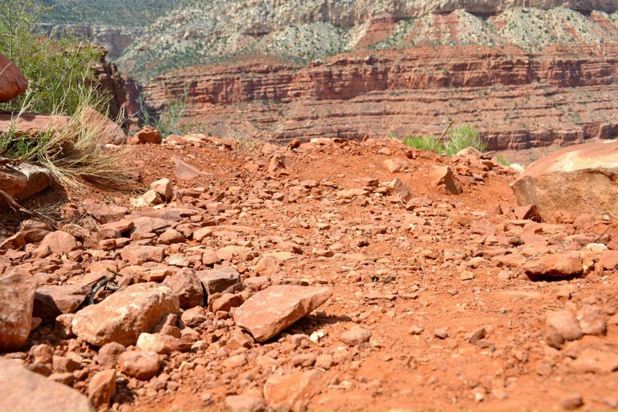 Наталья Корицкая | San Francisco
