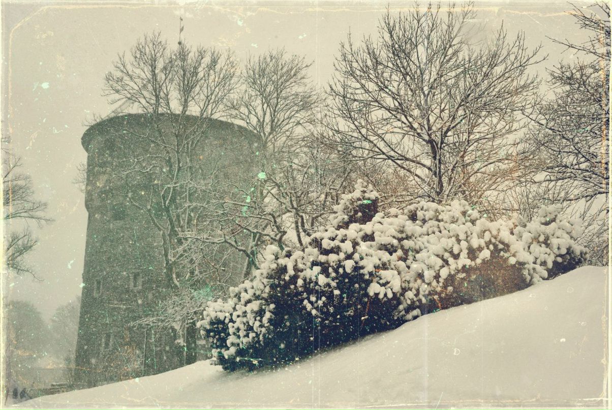 Никита Пинин | Елгава