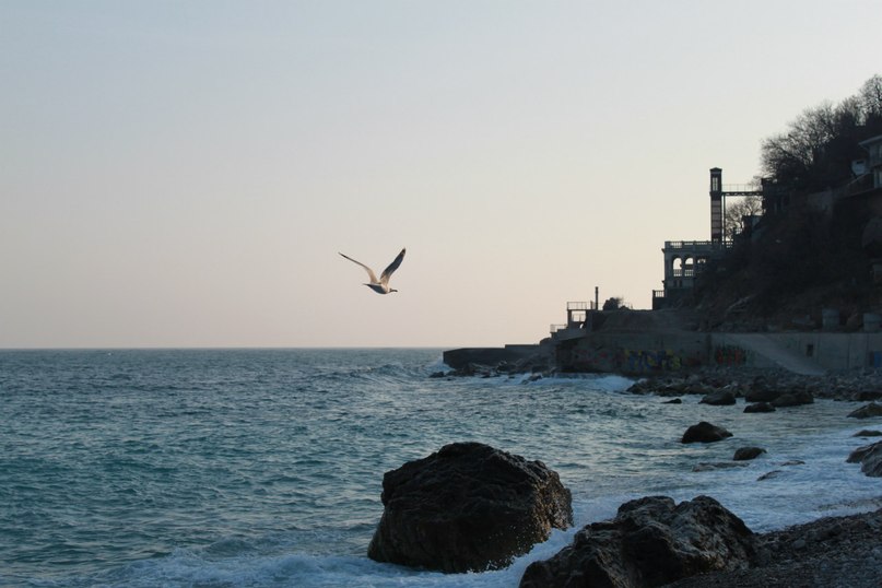 Катя Шереметева ***Grenouille heureuse*** | Nice