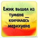 №1 Анжела Кульбакина 14.08.1993: профиль, фото, статус - ВКонтакте №1 Анжела Кульбакина 14.08.1993: профиль, фото, статус - ВКонтакте