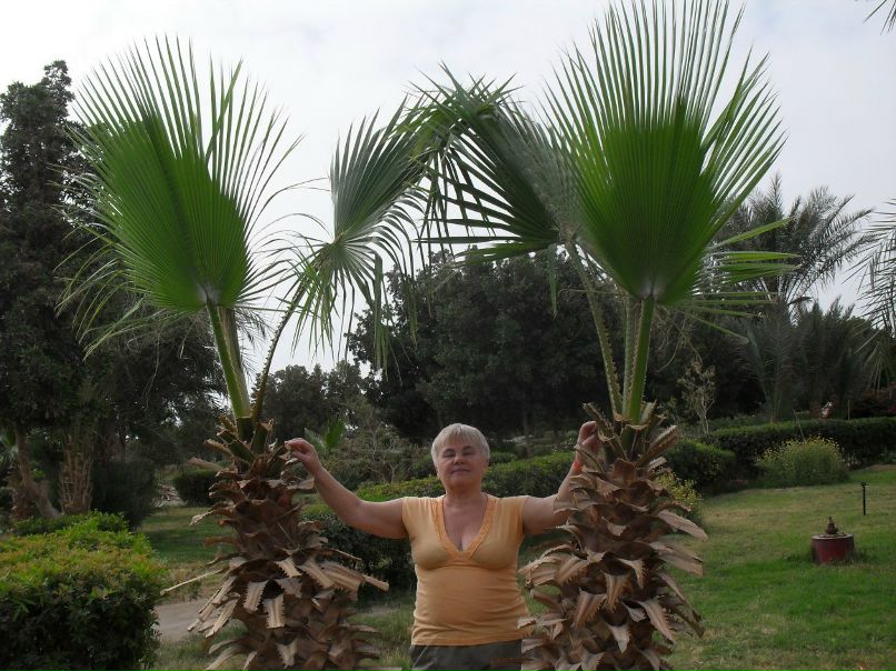 Галина Зуева | Санкт-Петербург