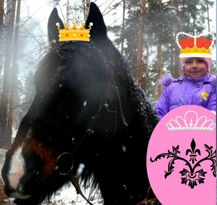 Арина Кузнецова | Романовка