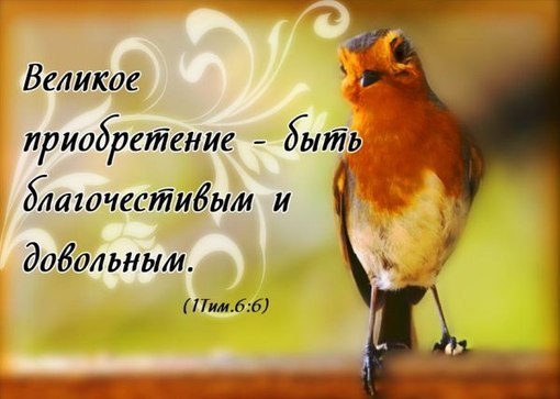№69, Сергей Самедов №69, Сергей Самедов