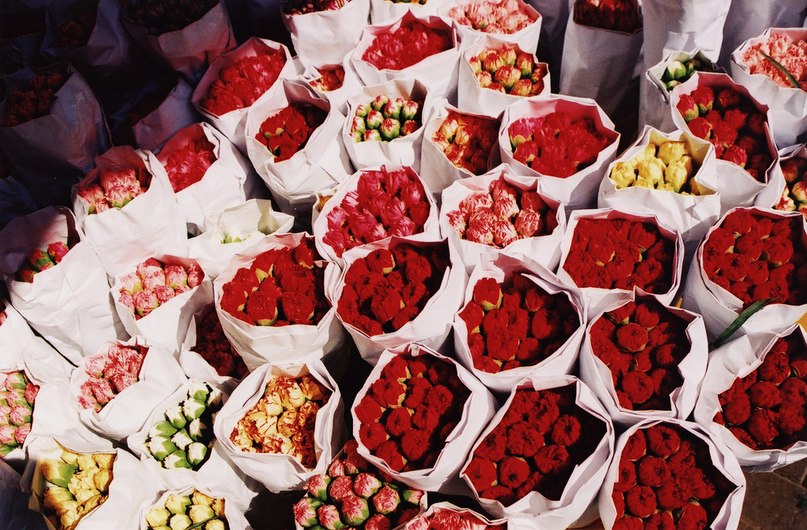 Тамила Ашукова | 