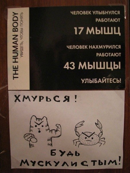 Серый Кузов | Краснодар