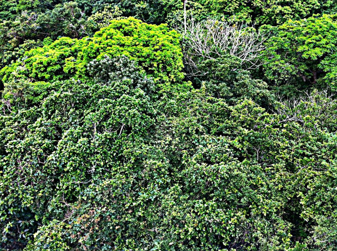 Алексей Тригубов | Москва