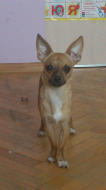 №7, Анастасия Боброва, 40 лет, Москва №7, Анастасия Боброва, 40 лет, Москва