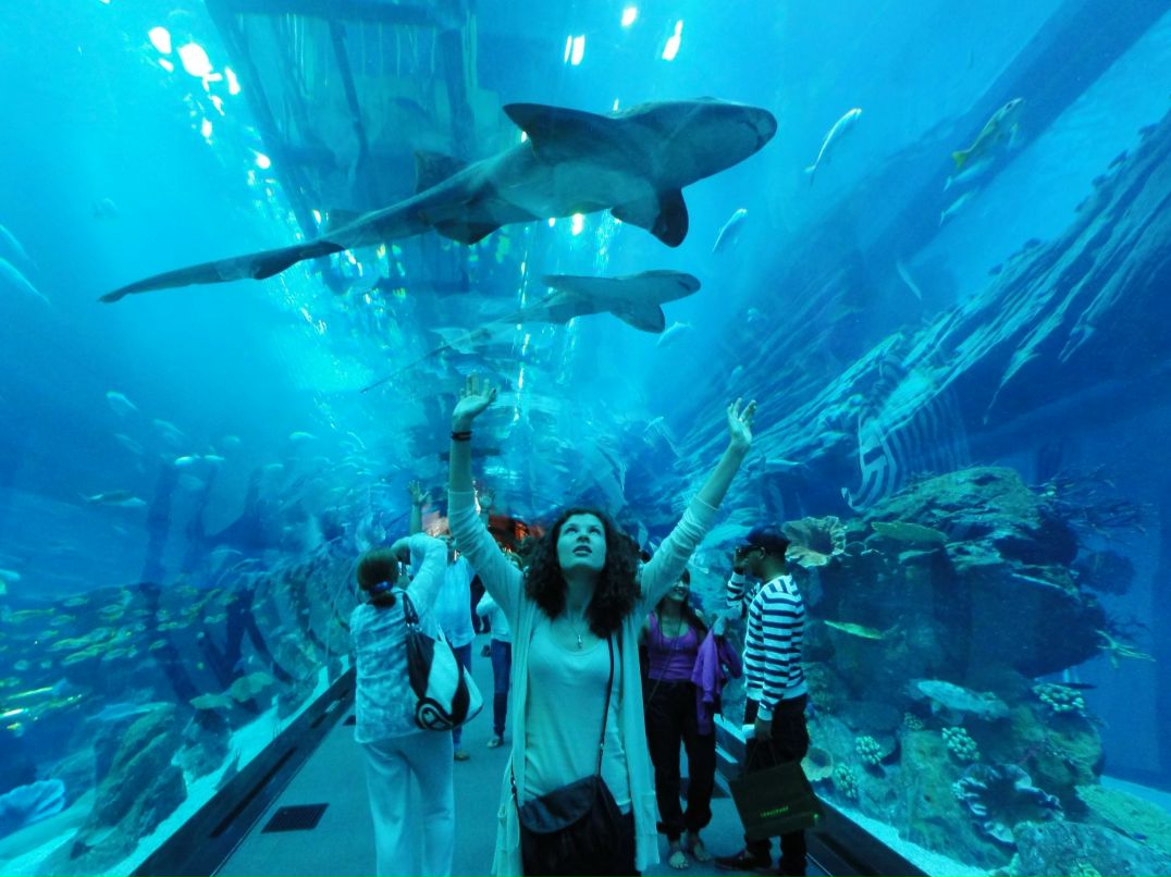 Регіна Мальчевська | 