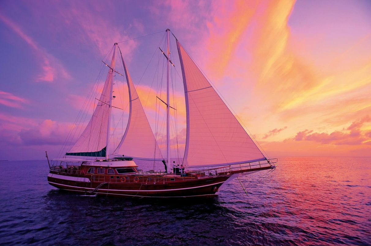 Андрей Павлов Сергеевич | Санкт-Петербург