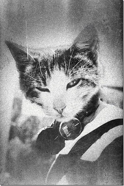 Денис Пыханов V | Новосибирск