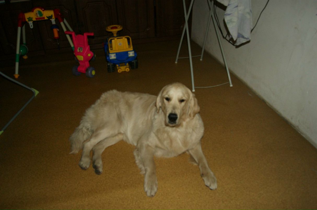 Elena Laperdina Администратор | Чита