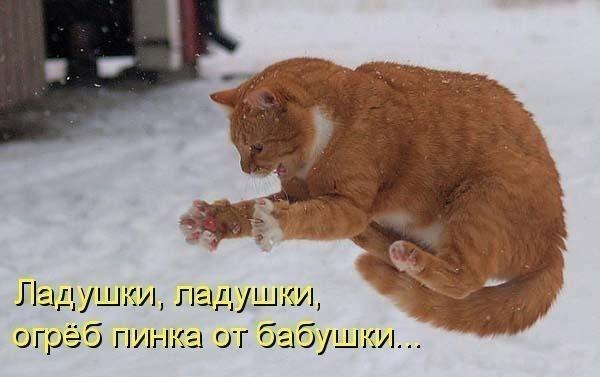 Никита Швидун | Уфа