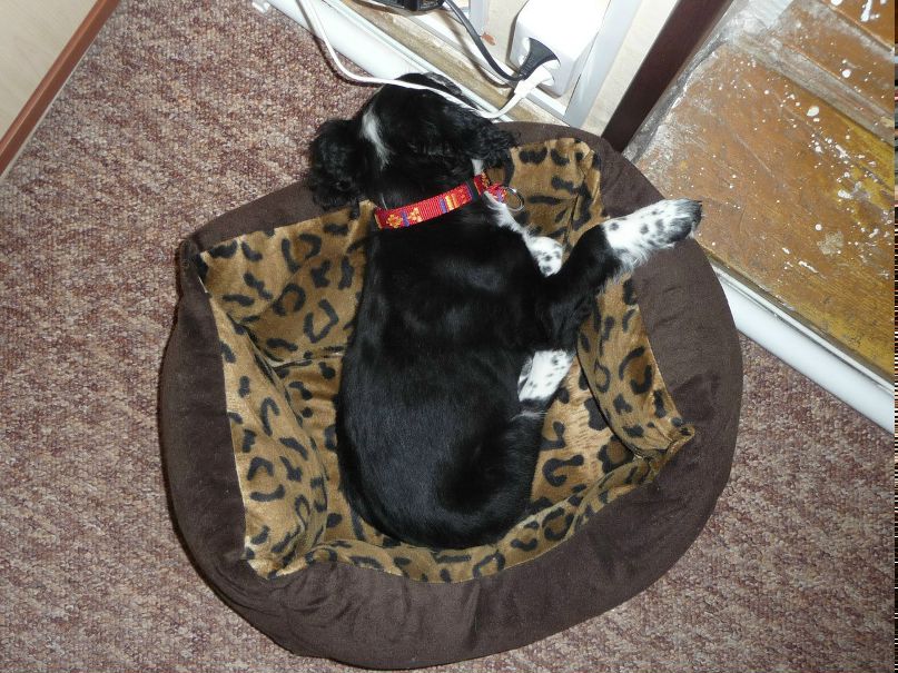 Наташа Косевич | Москва