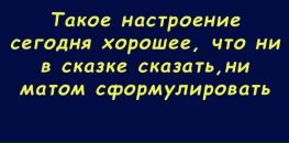 №11 Настюшка Царенкова 28.01.1993: профиль, фото, статус - ВКонтакте