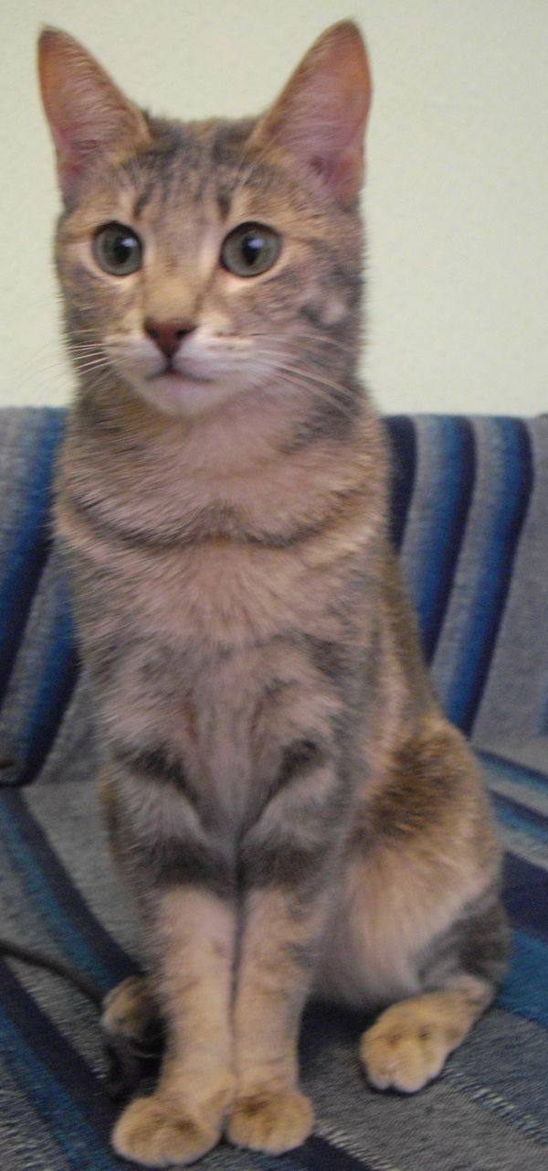 Максим Савин | 