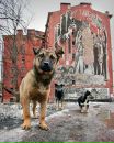 Фотография Александр Филиппов