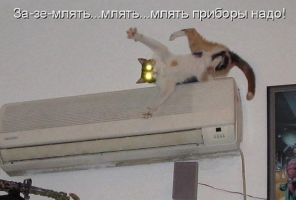 №9, Мария Ружило, 40 лет, Днепр (Днепропетровск) №9, Мария Ружило, 40 лет, Днепр (Днепропетровск)