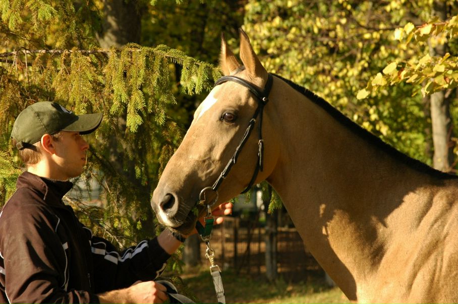 №4, Igor Igor, Харьков №4, Igor Igor, Харьков