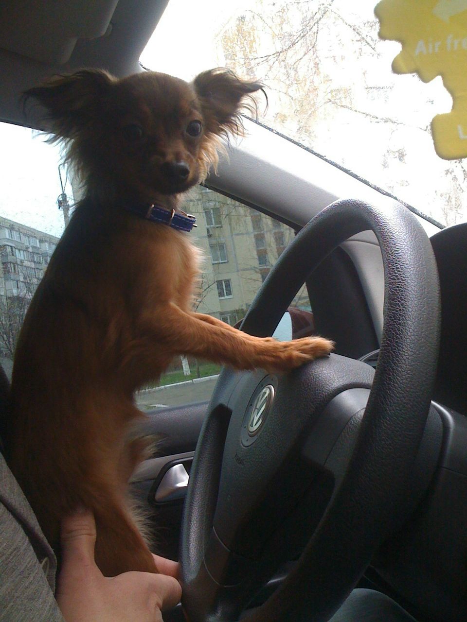 Marina Parubocha | Киев