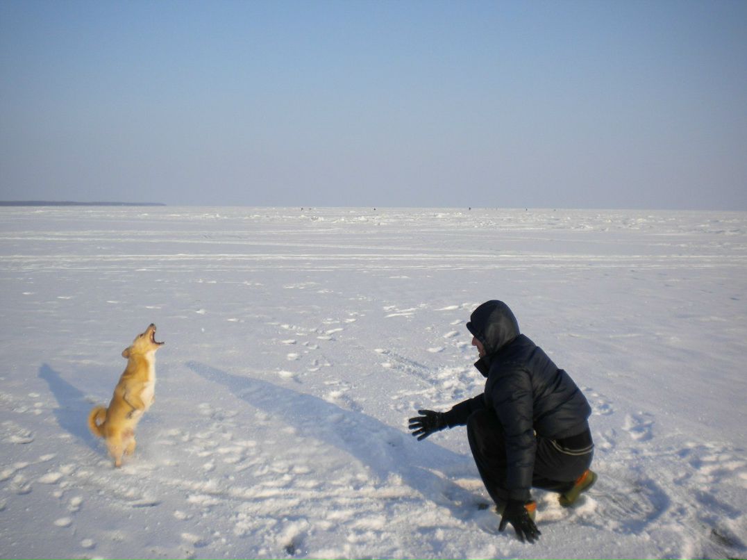 Надежда Мания | Санкт-Петербург