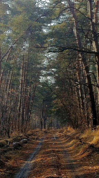 №12, Паша Дядченко №12, Паша Дядченко