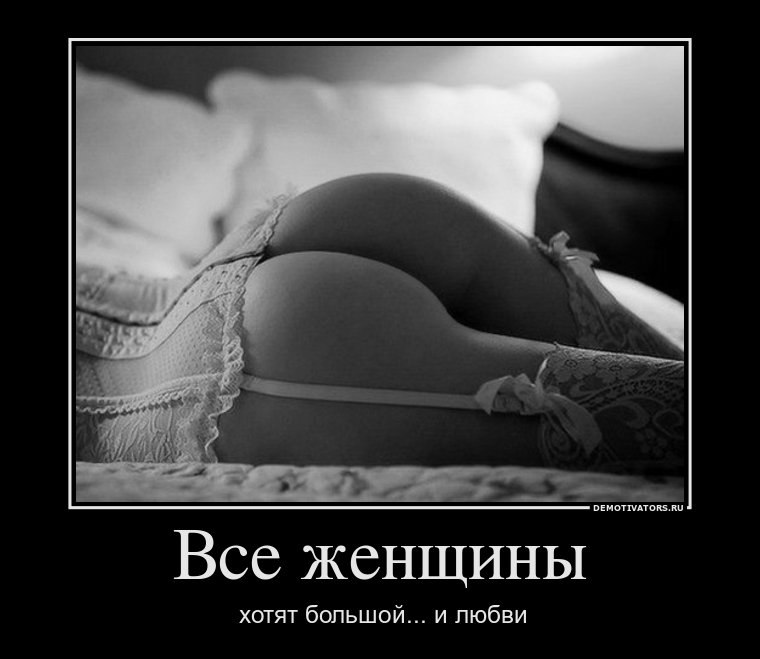 Дмитрий Шепелев | Ефремов