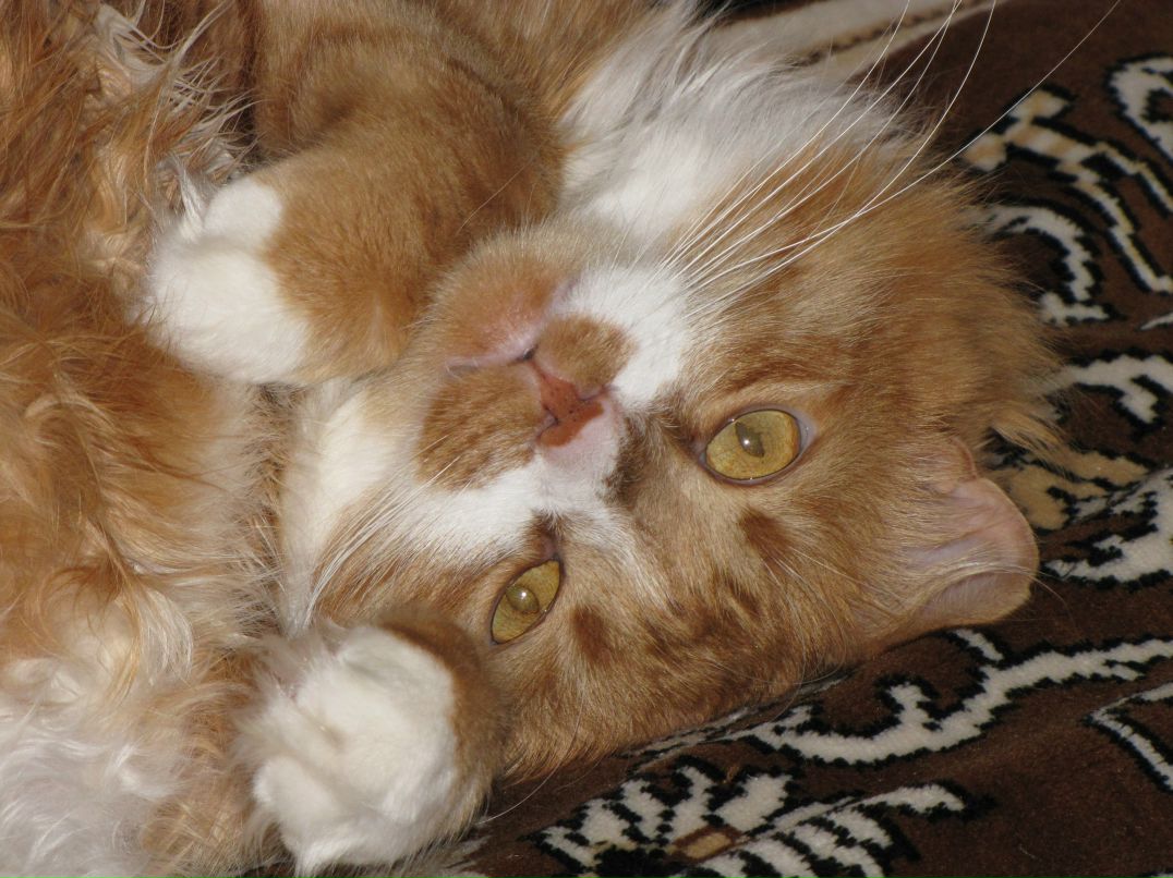 Надечка Гулак ❤ | Лубны