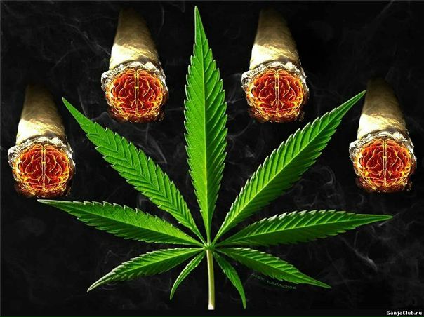 №27, Иван Иванов, Королёв №27, Иван Иванов, Королёв