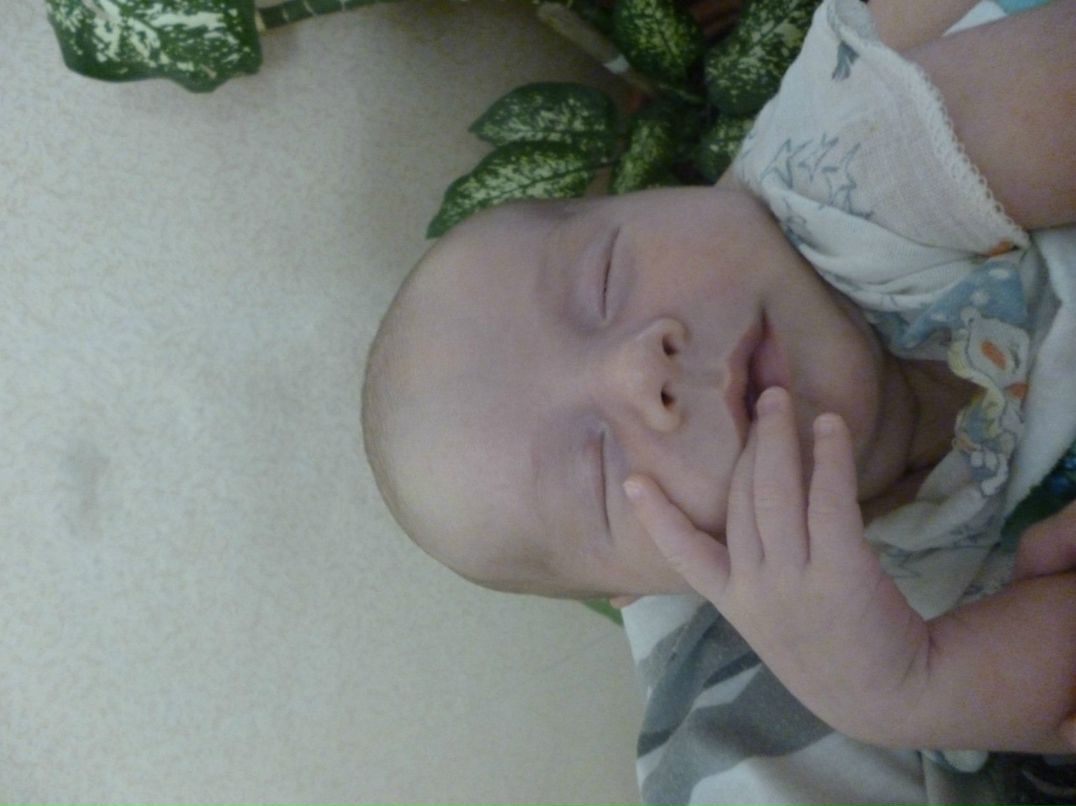 Наталья Ширяева | 