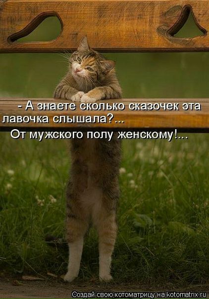 №110, Николай Ковальчук, Горишние Плавни / Комсомольск №110, Николай Ковальчук, Горишние Плавни / Комсомольск