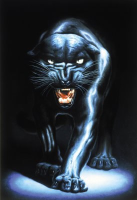 Владислав Александрович | Москва