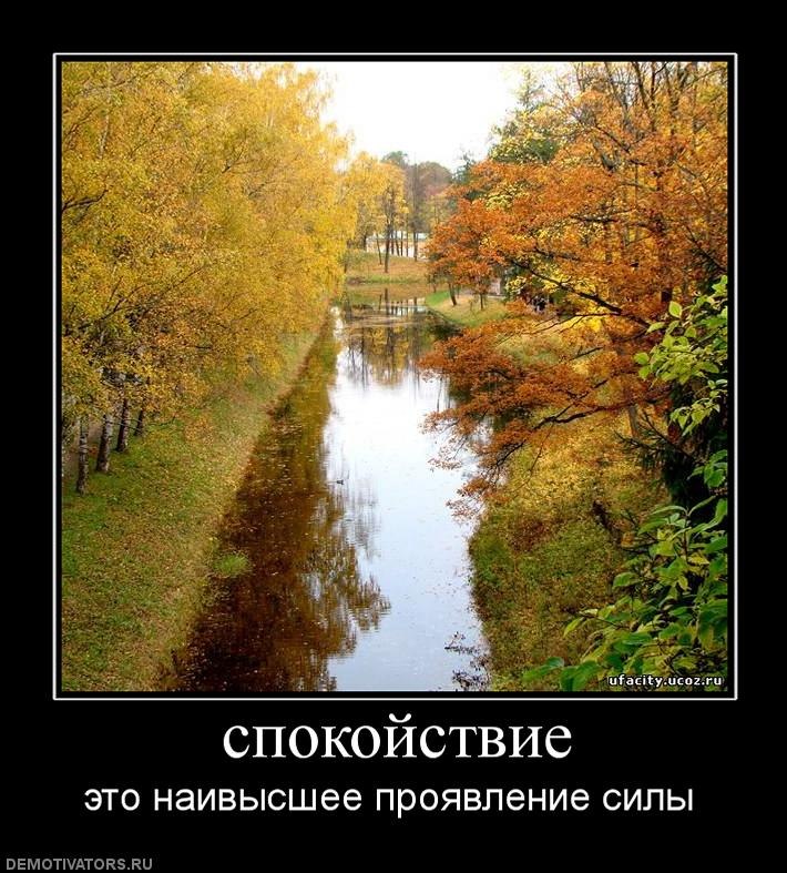 Денис Павловский | Саки